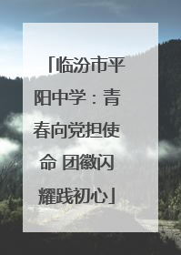 临汾市平阳中学：青春向党担使命 团徽闪耀践初心