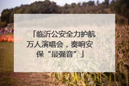 临沂公安全力护航万人演唱会，奏响安保“最强音”