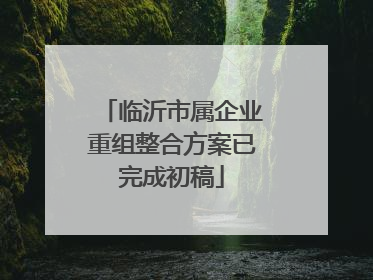 临沂市属企业重组整合方案已完成初稿