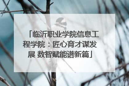 临沂职业学院信息工程学院：匠心育才谋发展 数智赋能谱新篇