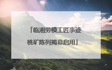临湘劳模工匠事迹桃矿陈列揭幕启用