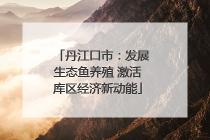 丹江口市：发展生态鱼养殖 激活库区经济新动能