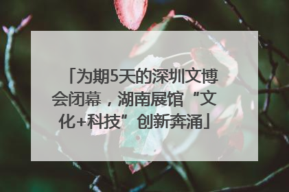 为期5天的深圳文博会闭幕，湖南展馆“文化+科技”创新奔涌