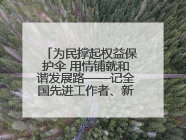 为民撑起权益保护伞 用情铺就和谐发展路——记全国先进工作者、新区项目建设中心干部卢小勇