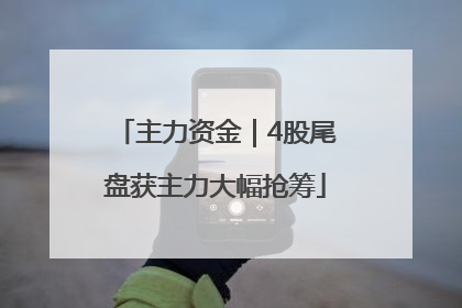 主力资金｜4股尾盘获主力大幅抢筹
