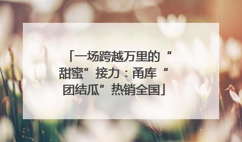 一场跨越万里的“甜蜜”接力：甬库“团结瓜”热销全国