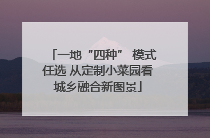 一地“四种” 模式任选 从定制小菜园看城乡融合新图景