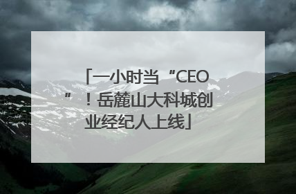 一小时当“CEO”！岳麓山大科城创业经纪人上线