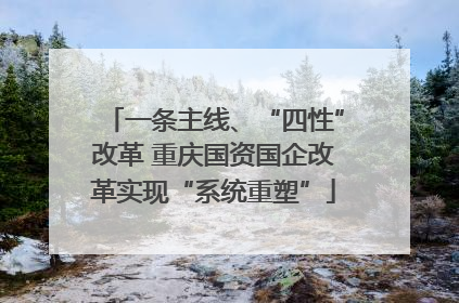 一条主线、“四性”改革 重庆国资国企改革实现“系统重塑”