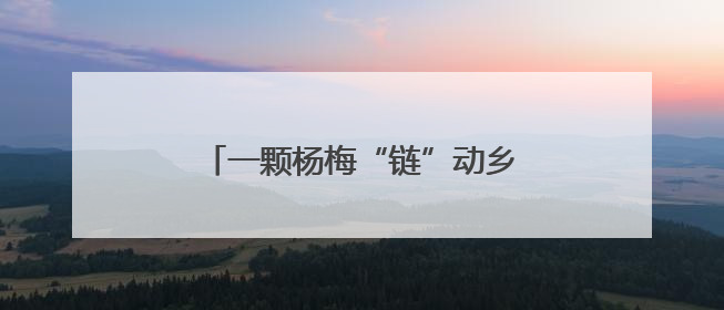 一颗杨梅“链”动乡村“产业共生圈”