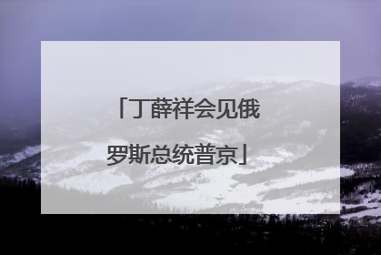 丁薛祥会见俄罗斯总统普京