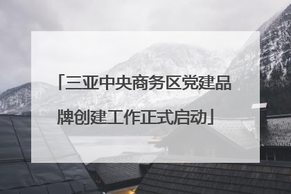 三亚中央商务区党建品牌创建工作正式启动