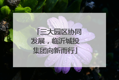 三大园区协同发展，临沂城投集团向新而行