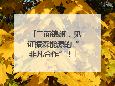 三面锦旗，见证振森能源的“非凡合作”！