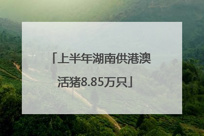 上半年湖南供港澳活猪8.85万只