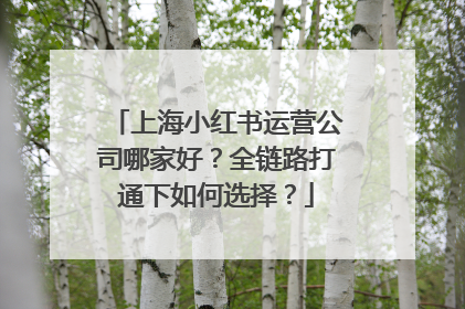 上海小红书运营公司哪家好？全链路打通下如何选择？