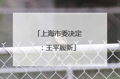 上海市委决定：王平履新