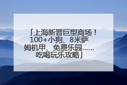 上海新晋巨型商场！100+小狗、8米萨姆机甲、免费乐园……吃喝玩乐攻略