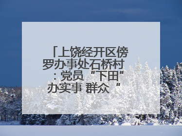 上饶经开区傍罗办事处石桥村：党员“下田”办实事 群众“点赞”笑开颜