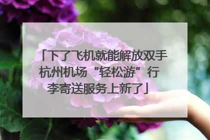 下了飞机就能解放双手 杭州机场“轻松游”行李寄送服务上新了