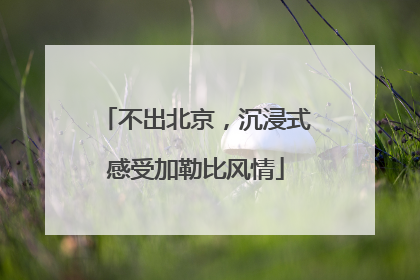 不出北京，沉浸式感受加勒比风情