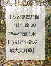 专家学者共谋“硅”途 2025年中国（乐山）硅产业链发展大会开幕