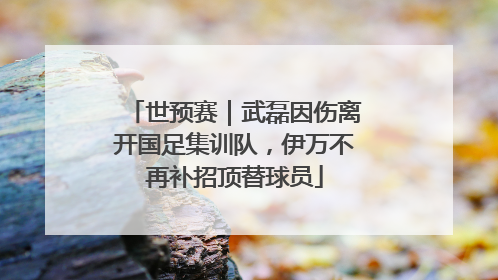 世预赛｜武磊因伤离开国足集训队，伊万不再补招顶替球员