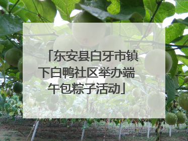 东安县白牙市镇下白鸭社区举办端午包粽子活动