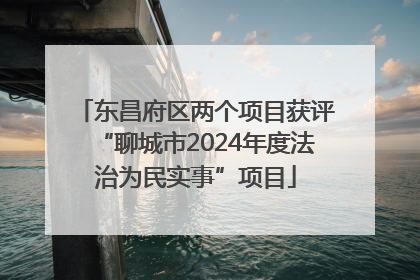 东昌府区两个项目获评“聊城市2024年度法治为民实事”项目