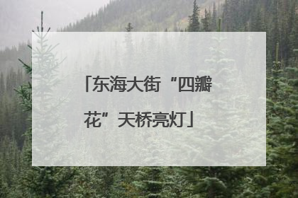 东海大街“四瓣花”天桥亮灯