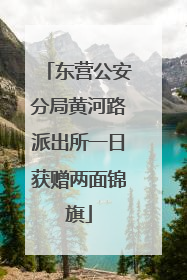 东营公安分局黄河路派出所一日获赠两面锦旗