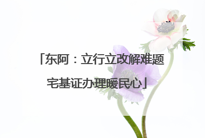 东阿：立行立改解难题 宅基证办理暖民心