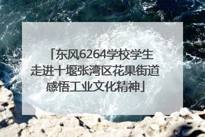 东风6264学校学生走进十堰张湾区花果街道感悟工业文化精神