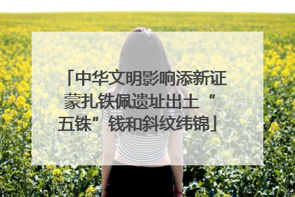 中华文明影响添新证 蒙扎铁佩遗址出土“五铢”钱和斜纹纬锦