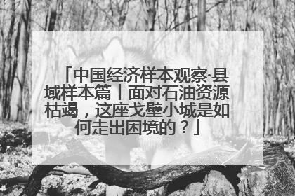 中国经济样本观察·县域样本篇丨面对石油资源枯竭，这座戈壁小城是如何走出困境的？