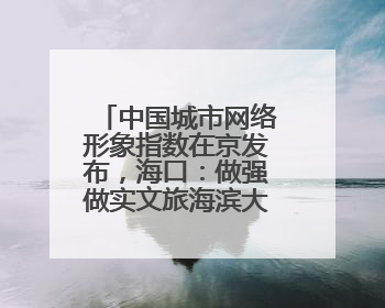 中国城市网络形象指数在京发布，海口：做强做实文旅海滨大品牌