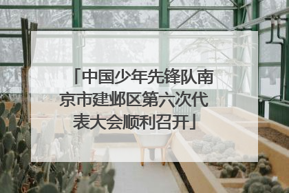 中国少年先锋队南京市建邺区第六次代表大会顺利召开