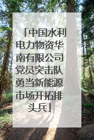 中国水利电力物资华南有限公司党员突击队勇当新能源市场开拓排头兵