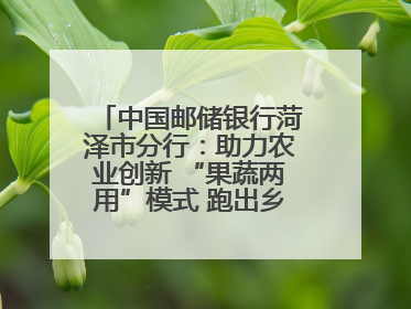 中国邮储银行菏泽市分行：助力农业创新 “果蔬两用”模式 跑出乡村振兴加速度