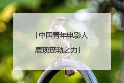 中国青年电影人展现蓬勃之力