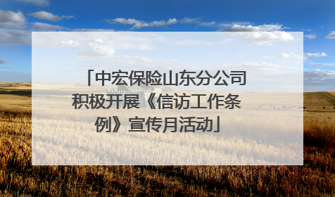 中宏保险山东分公司积极开展《信访工作条例》宣传月活动