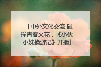中外文化交流 碰撞青春火花，《小伙小妹换游记》开播