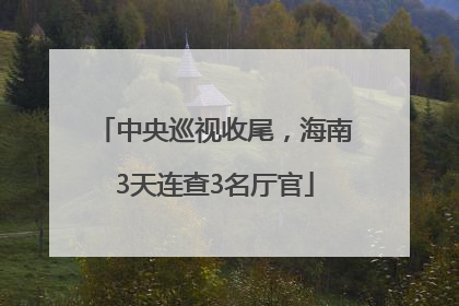 中央巡视收尾，海南3天连查3名厅官