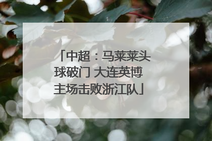 中超：马莱莱头球破门 大连英博主场击败浙江队