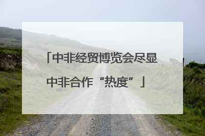 中非经贸博览会尽显中非合作“热度”