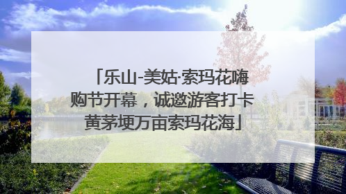 乐山-美姑·索玛花嗨购节开幕，诚邀游客打卡黄茅埂万亩索玛花海