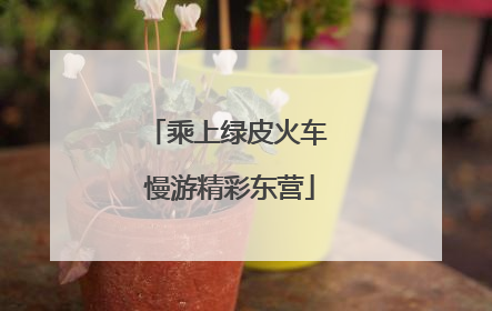 乘上绿皮火车 慢游精彩东营