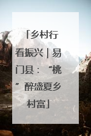 乡村行 看振兴｜易门县：“桃”醉盛夏乡村富