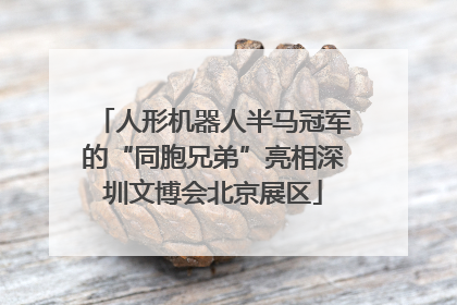 人形机器人半马冠军的“同胞兄弟”亮相深圳文博会北京展区