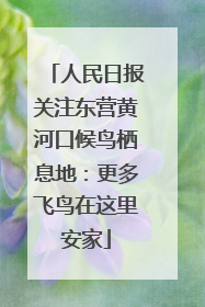 人民日报关注东营黄河口候鸟栖息地：更多飞鸟在这里安家